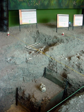 Museu de Sítio Arqueológico Sambaqui da Tarioba
