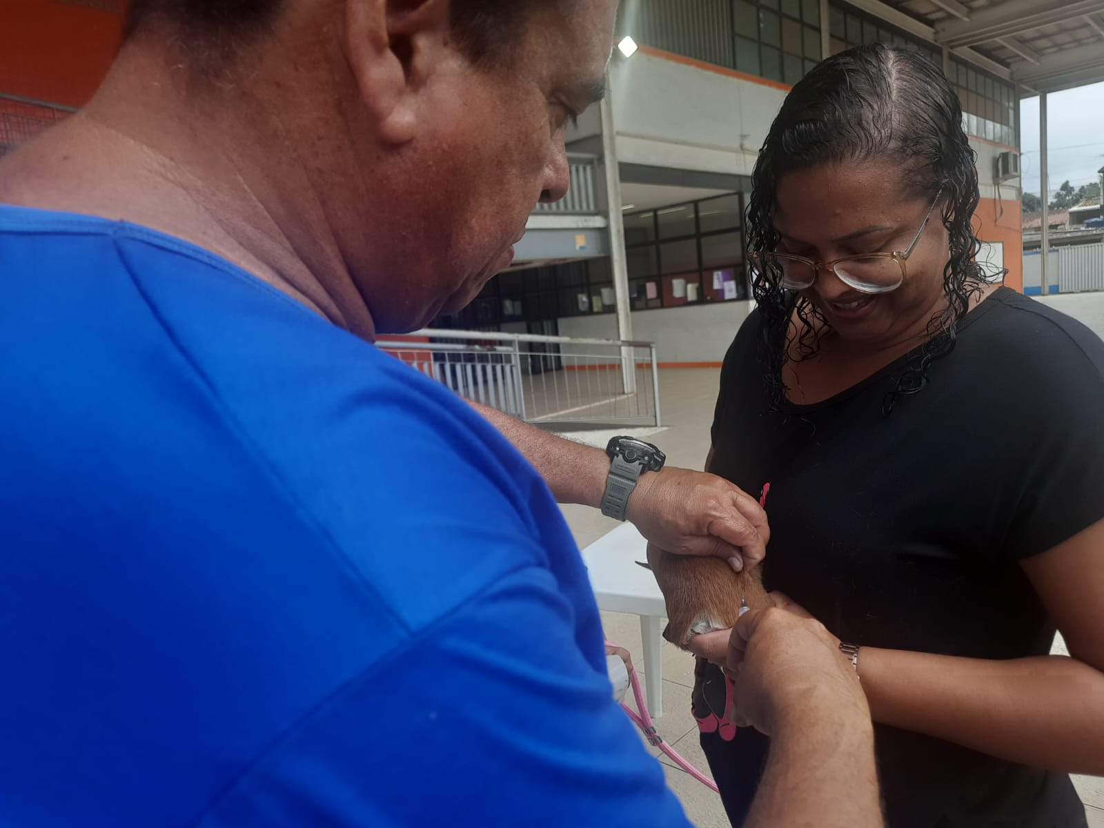 Última etapa de vacinação antirrábica acontece neste sábado, 2 de dezembro, em Rio das Ostras