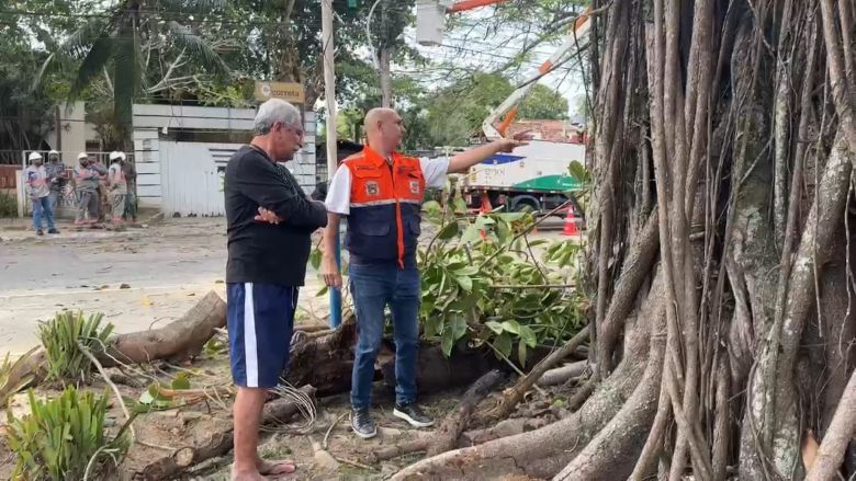 Defesa Civil de Rio das Ostras retira árvores que caíram sobre residências
