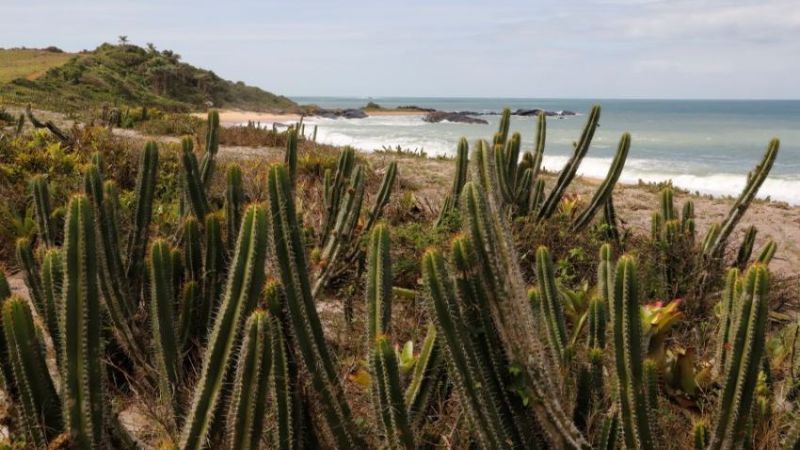 Rio das Ostras convoca população para ajudar a construir Programa Municipal de Educação Ambiental