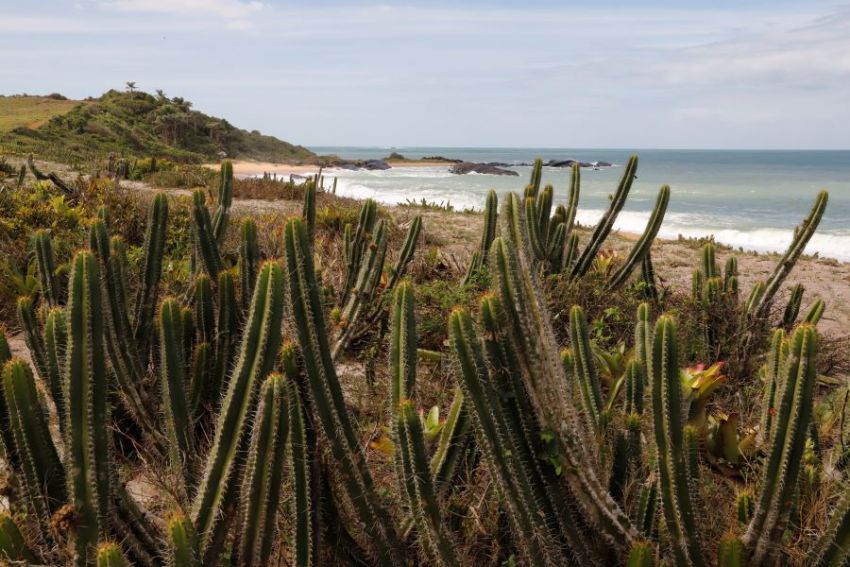 Rio das Ostras convoca população para ajudar a construir Programa Municipal de Educação Ambiental