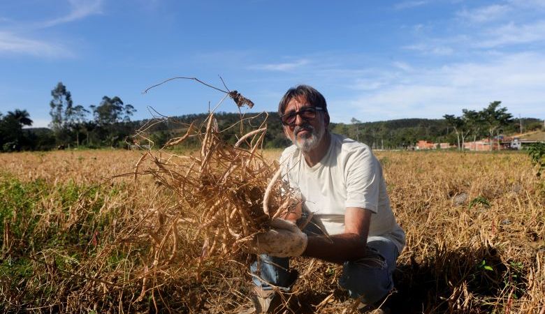 Avaliação do Projeto Feijão traça próximos passos da agricultura em Rio das Ostras
