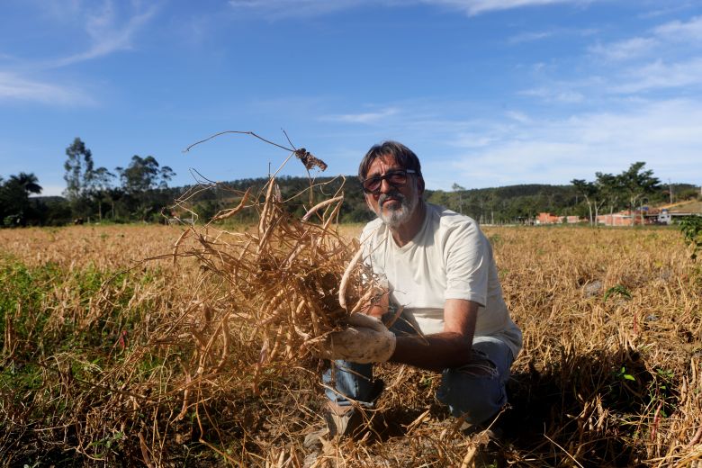 Avaliação do Projeto Feijão traça próximos passos da agricultura em Rio das Ostras
