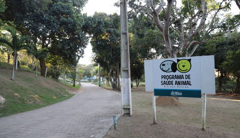 Animais ganham novos lares  em Feira de Adoção em Rio das Ostras