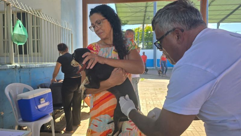 Vacinação Antirrábica imuniza mais de 13,5 mil animais em Rio das Ostras