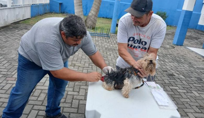 Vacinação Antirrábica Animal em Rio das Ostras chega à 3ª Etapa