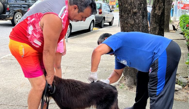 2ª etapa da Vacinação Antirrábica Animal em Rio das Ostras continua neste sábado