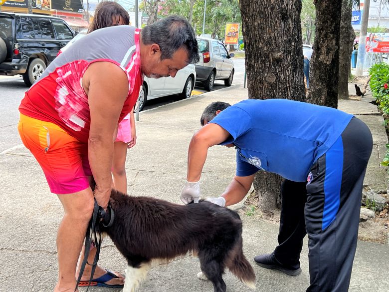 2ª etapa da Vacinação Antirrábica Animal em Rio das Ostras continua neste sábado
