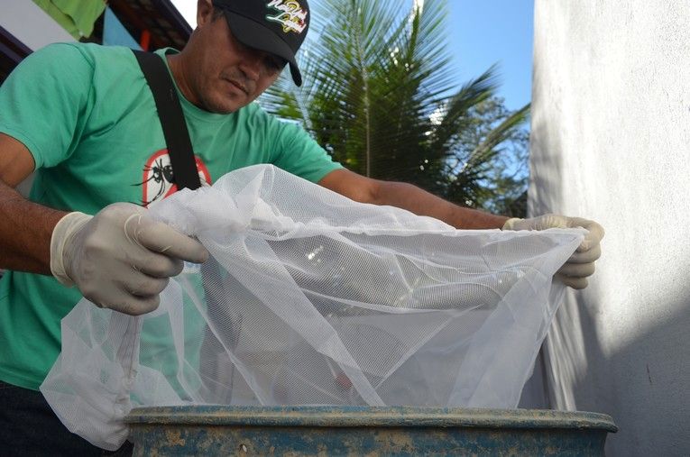Rio das Ostras alerta população sobre a Dengue