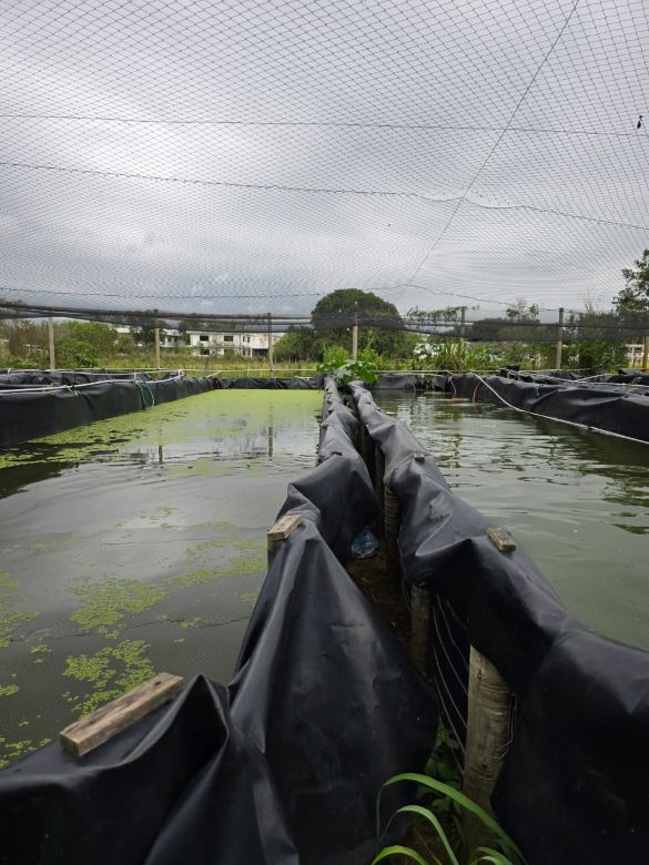 Rio das Ostras estuda projetos de geração de renda e resgate social em áreas pesqueiras