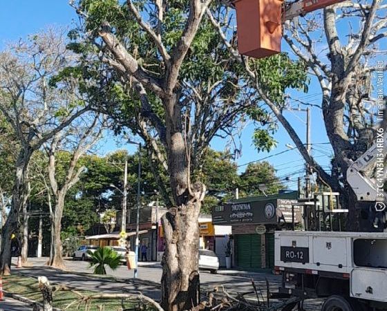 Prefeitura de Rio das Ostras faz retirada preventiva de árvores com risco de queda