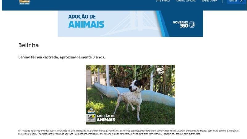 Adoção de animais em Rio das Ostras passa a ser feita por aplicativo