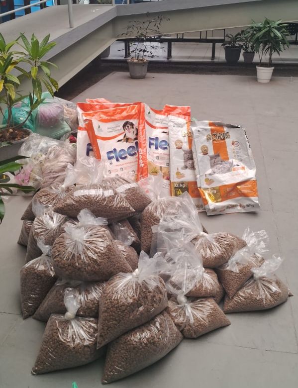 Programa de Saúde Animal de Rio das Ostras atua nas ações durante situação de emergência