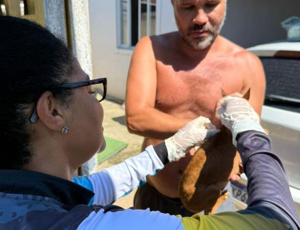 Rio das Ostras recebe apoio de ONG de resgate animal