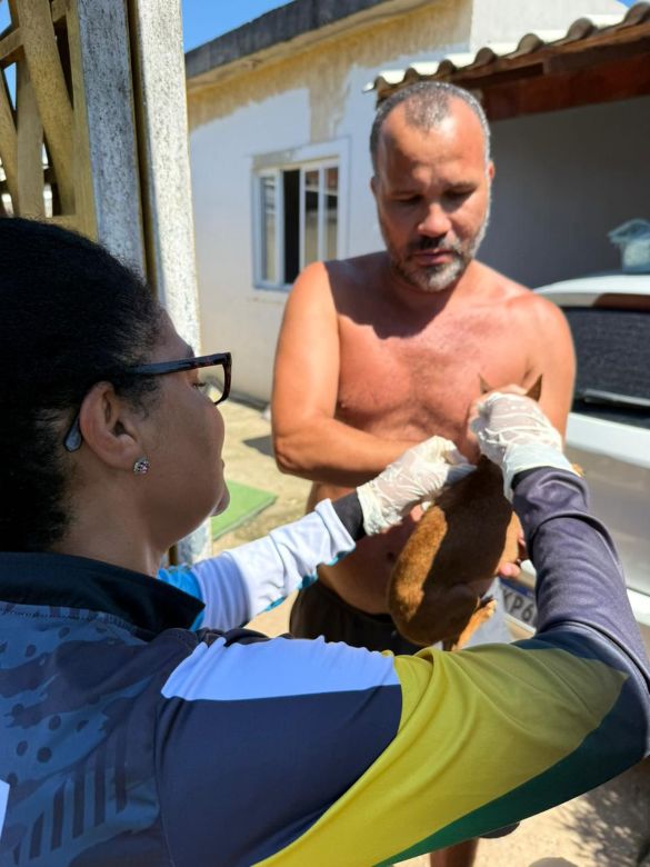 Rio das Ostras recebe apoio de ONG de resgate animal