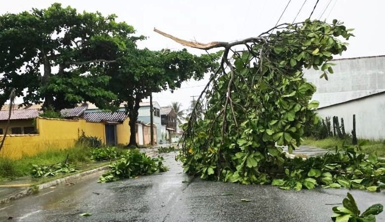 Defesa Civil de Rio das Ostras atua no corte de árvores e desobstrução de vias após chuvas