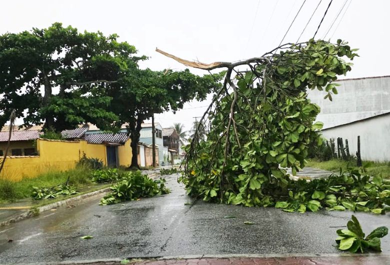 Defesa Civil de Rio das Ostras atua no corte de árvores e desobstrução de vias após chuvas