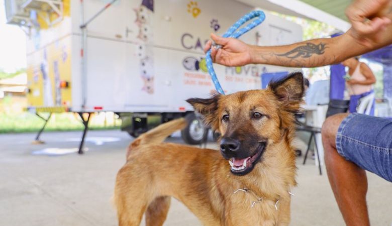 Nova Esperança recebe Projeto Bem-Estar Animal Sobre Rodas nesta terça e quarta-feira