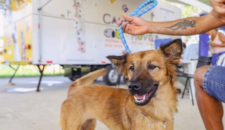 Parque Zabulão recebe Bem-Estar Animal nesta terça-feira