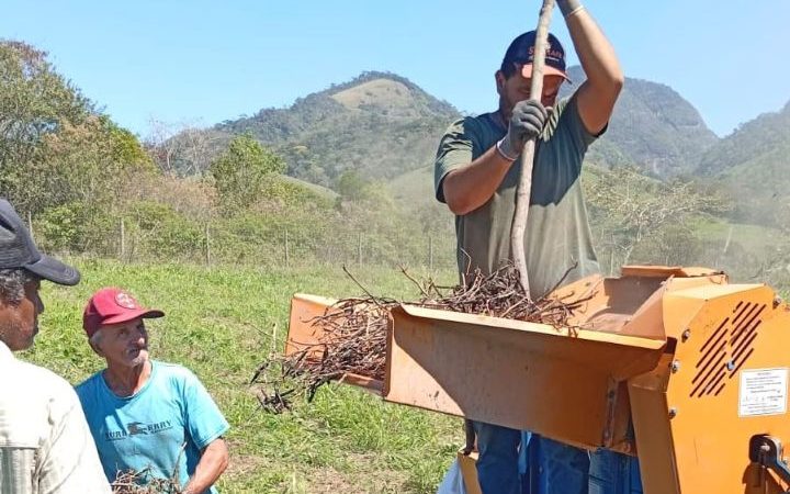 Produtores de Rio das Ostras concluem colheita do feijão
