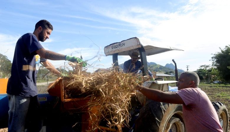 Rio das Ostras abre inscrições para cursos gratuitos para produtores rurais