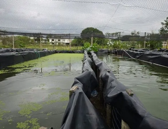 Rio das Ostras estuda projetos de geração de renda e resgate social em áreas pesqueiras