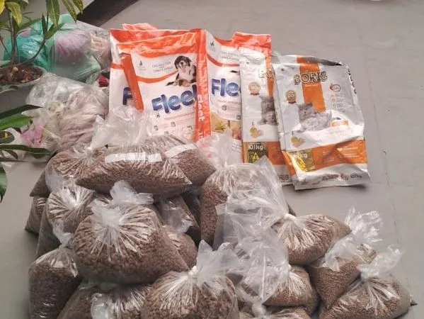 Programa de Saúde Animal de Rio das Ostras atua nas ações durante situação de emergência